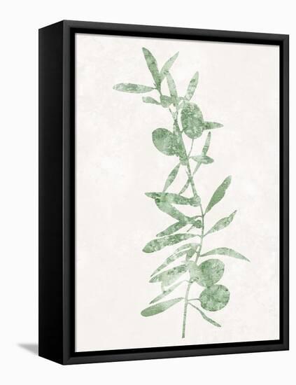 Nature Green IV-Danielle Carson-Framed Stretched Canvas