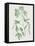 Nature Green V-Danielle Carson-Framed Stretched Canvas