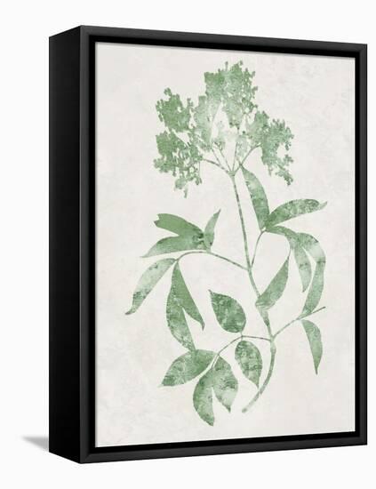 Nature Green V-Danielle Carson-Framed Stretched Canvas