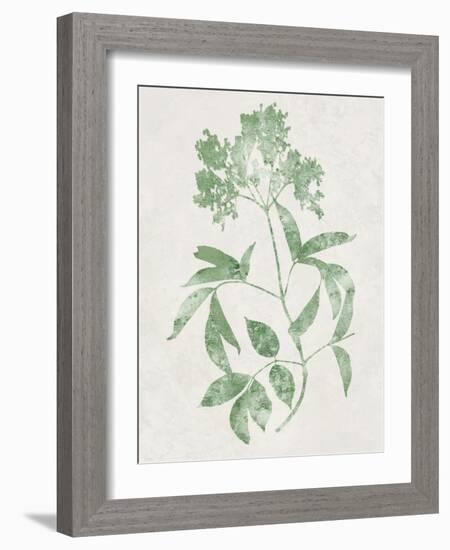 Nature Green V-Danielle Carson-Framed Art Print