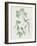 Nature Green V-Danielle Carson-Framed Art Print