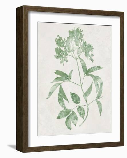Nature Green V-Danielle Carson-Framed Art Print