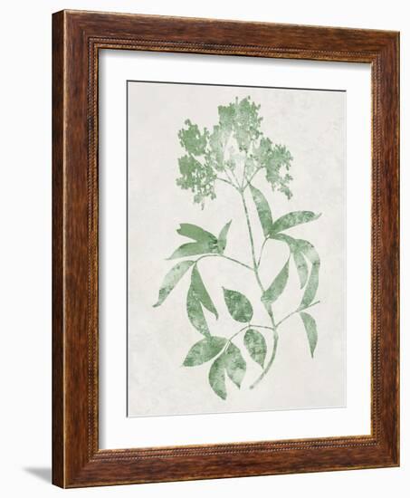 Nature Green V-Danielle Carson-Framed Art Print