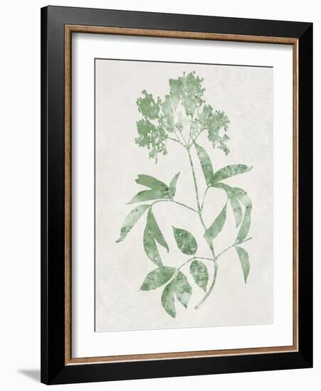 Nature Green V-Danielle Carson-Framed Art Print