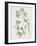 Nature Green V-Danielle Carson-Framed Art Print