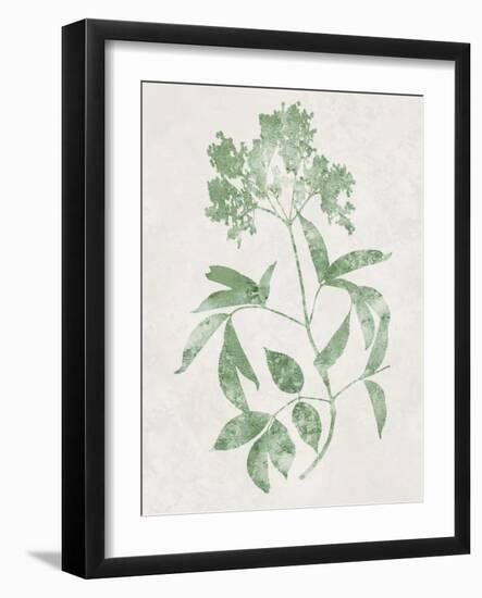 Nature Green V-Danielle Carson-Framed Art Print