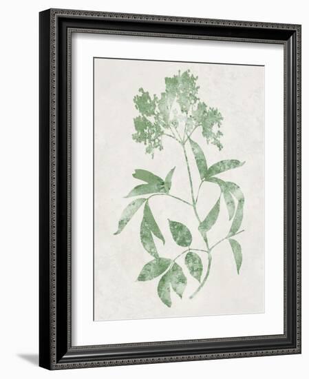 Nature Green V-Danielle Carson-Framed Art Print