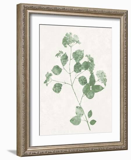 Nature Green VI-Danielle Carson-Framed Art Print