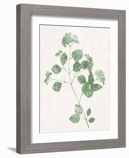 Nature Green VI-Danielle Carson-Framed Art Print