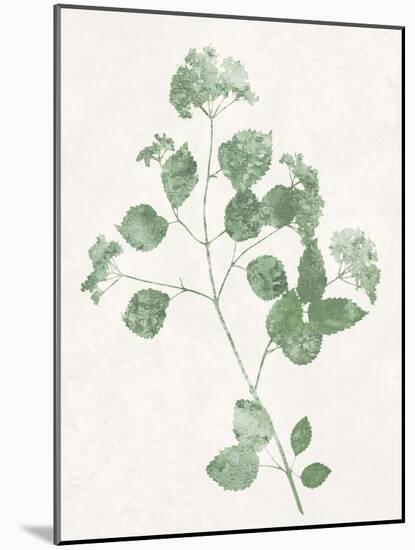 Nature Green VI-Danielle Carson-Mounted Art Print