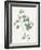 Nature Green VI-Danielle Carson-Framed Art Print