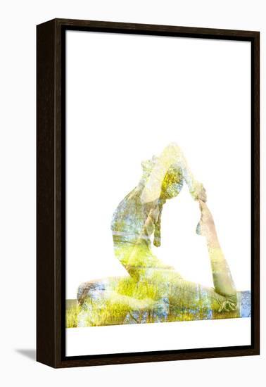 Nature Harmony Healthy Lifestyle Concept - Double Exposure Image of Woman Doing Yoga Asana King Pig-f9photos-Framed Premier Image Canvas