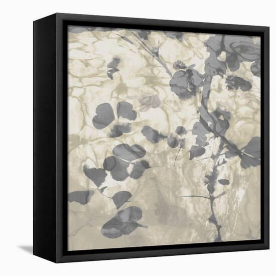 Nature II-Danielle Carson-Framed Stretched Canvas