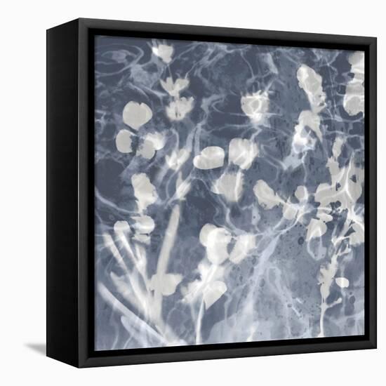 Nature in Grey II-Danielle Carson-Framed Stretched Canvas