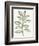 Nature in Sage II-Sue Schlabach-Framed Photographic Print