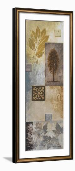 Nature in the Abstract II-Michael Marcon-Framed Art Print