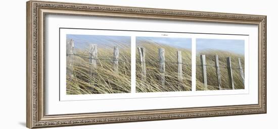 Nature Iodée-Philip Plisson-Framed Art Print