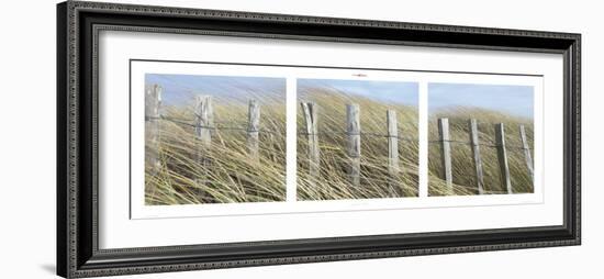 Nature Iodée-Philip Plisson-Framed Art Print