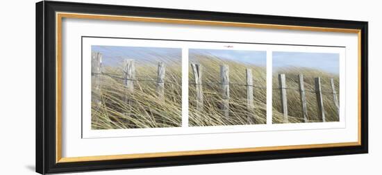 Nature Iodée-Philip Plisson-Framed Art Print