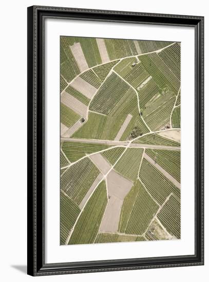 Nature, Landscape, Val Sulgana, Railway, Aerial Shot, Meadow, Fields, Way, Wine-Growing, Summer-Frank Fleischmann-Framed Photographic Print