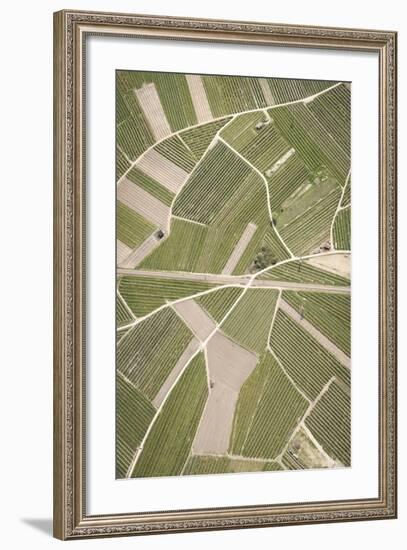 Nature, Landscape, Val Sulgana, Railway, Aerial Shot, Meadow, Fields, Way, Wine-Growing, Summer-Frank Fleischmann-Framed Photographic Print