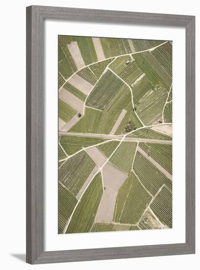 Nature, Landscape, Val Sulgana, Railway, Aerial Shot, Meadow, Fields, Way, Wine-Growing, Summer-Frank Fleischmann-Framed Photographic Print