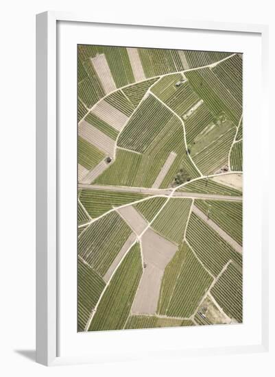 Nature, Landscape, Val Sulgana, Railway, Aerial Shot, Meadow, Fields, Way, Wine-Growing, Summer-Frank Fleischmann-Framed Photographic Print