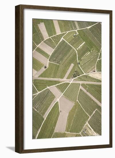 Nature, Landscape, Val Sulgana, Railway, Aerial Shot, Meadow, Fields, Way, Wine-Growing, Summer-Frank Fleischmann-Framed Photographic Print