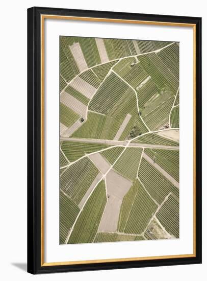 Nature, Landscape, Val Sulgana, Railway, Aerial Shot, Meadow, Fields, Way, Wine-Growing, Summer-Frank Fleischmann-Framed Photographic Print