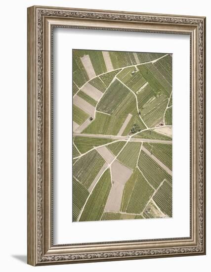 Nature, Landscape, Val Sulgana, Railway, Aerial Shot, Meadow, Fields, Way, Wine-Growing, Summer-Frank Fleischmann-Framed Photographic Print