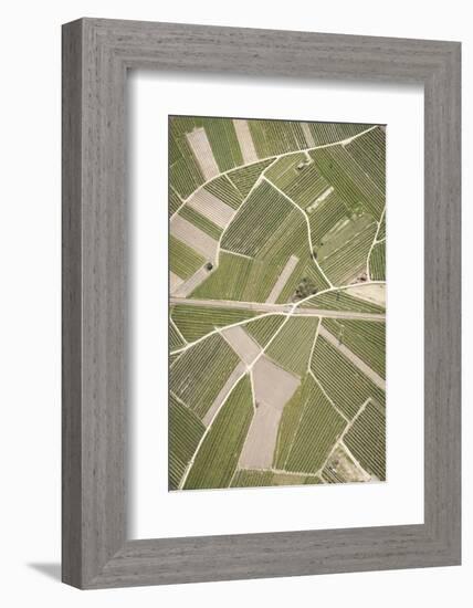 Nature, Landscape, Val Sulgana, Railway, Aerial Shot, Meadow, Fields, Way, Wine-Growing, Summer-Frank Fleischmann-Framed Photographic Print