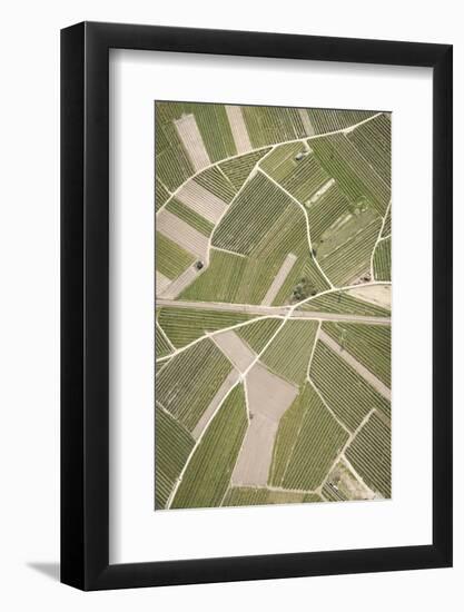 Nature, Landscape, Val Sulgana, Railway, Aerial Shot, Meadow, Fields, Way, Wine-Growing, Summer-Frank Fleischmann-Framed Photographic Print