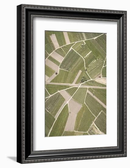 Nature, Landscape, Val Sulgana, Railway, Aerial Shot, Meadow, Fields, Way, Wine-Growing, Summer-Frank Fleischmann-Framed Photographic Print