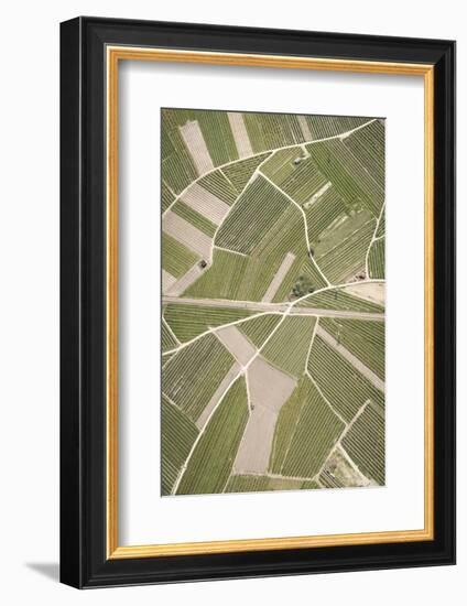 Nature, Landscape, Val Sulgana, Railway, Aerial Shot, Meadow, Fields, Way, Wine-Growing, Summer-Frank Fleischmann-Framed Photographic Print