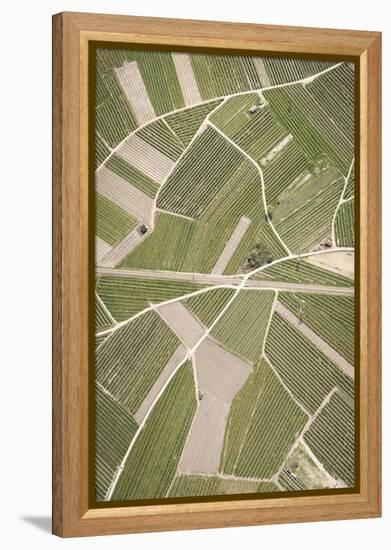 Nature, Landscape, Val Sulgana, Railway, Aerial Shot, Meadow, Fields, Way, Wine-Growing, Summer-Frank Fleischmann-Framed Premier Image Canvas