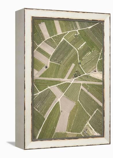 Nature, Landscape, Val Sulgana, Railway, Aerial Shot, Meadow, Fields, Way, Wine-Growing, Summer-Frank Fleischmann-Framed Premier Image Canvas