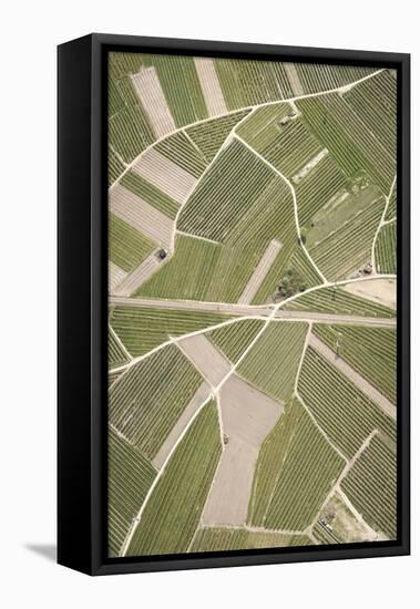 Nature, Landscape, Val Sulgana, Railway, Aerial Shot, Meadow, Fields, Way, Wine-Growing, Summer-Frank Fleischmann-Framed Premier Image Canvas