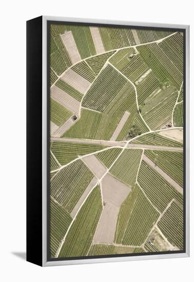 Nature, Landscape, Val Sulgana, Railway, Aerial Shot, Meadow, Fields, Way, Wine-Growing, Summer-Frank Fleischmann-Framed Premier Image Canvas