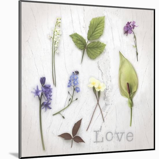 Nature Love-Bill Philip-Mounted Art Print