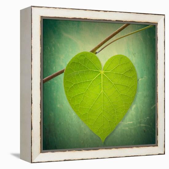 Nature Lover-Philippe Sainte-Laudy-Framed Premier Image Canvas