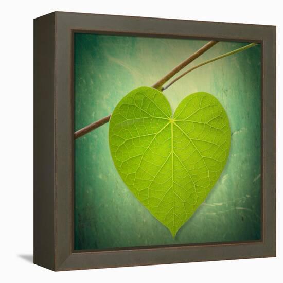 Nature Lover-Philippe Sainte-Laudy-Framed Premier Image Canvas