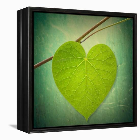 Nature Lover-Philippe Sainte-Laudy-Framed Premier Image Canvas