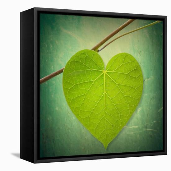 Nature Lover-Philippe Sainte-Laudy-Framed Premier Image Canvas