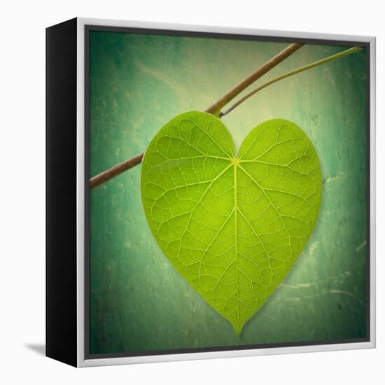 Nature Lover-Philippe Sainte-Laudy-Framed Premier Image Canvas