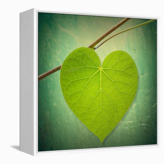 Nature Lover-Philippe Sainte-Laudy-Framed Premier Image Canvas