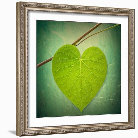 Nature Lover-Philippe Sainte-Laudy-Framed Photographic Print