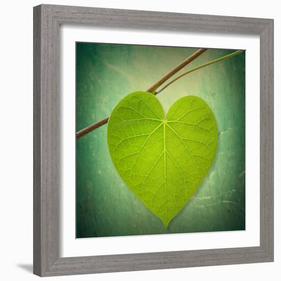 Nature Lover-Philippe Sainte-Laudy-Framed Photographic Print