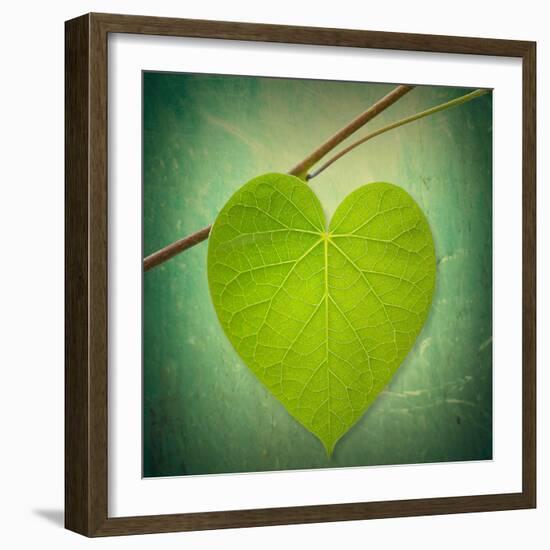 Nature Lover-Philippe Sainte-Laudy-Framed Photographic Print