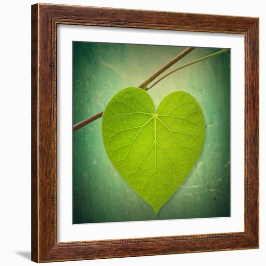 Nature Lover-Philippe Sainte-Laudy-Framed Photographic Print