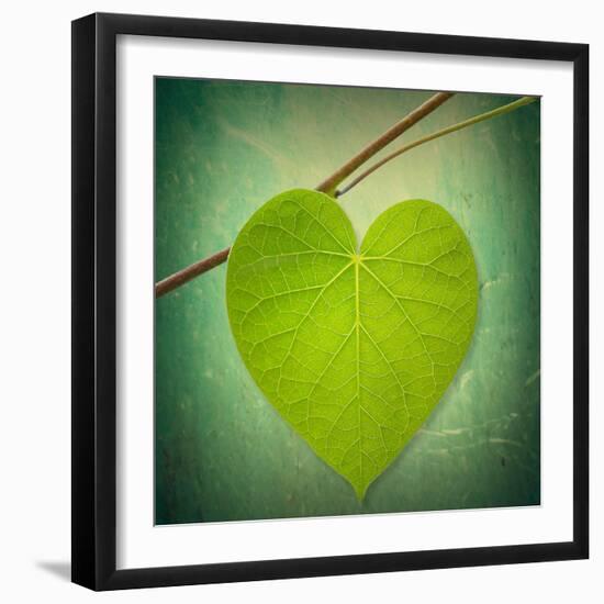 Nature Lover-Philippe Sainte-Laudy-Framed Photographic Print